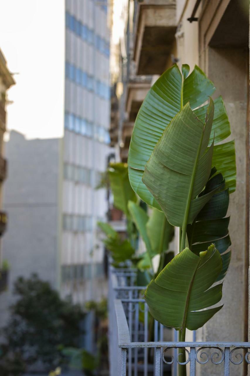 Hostal Sol Y K Barcelona Exterior photo